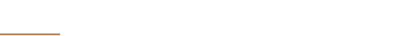 bridgeview-logo-name-white 1